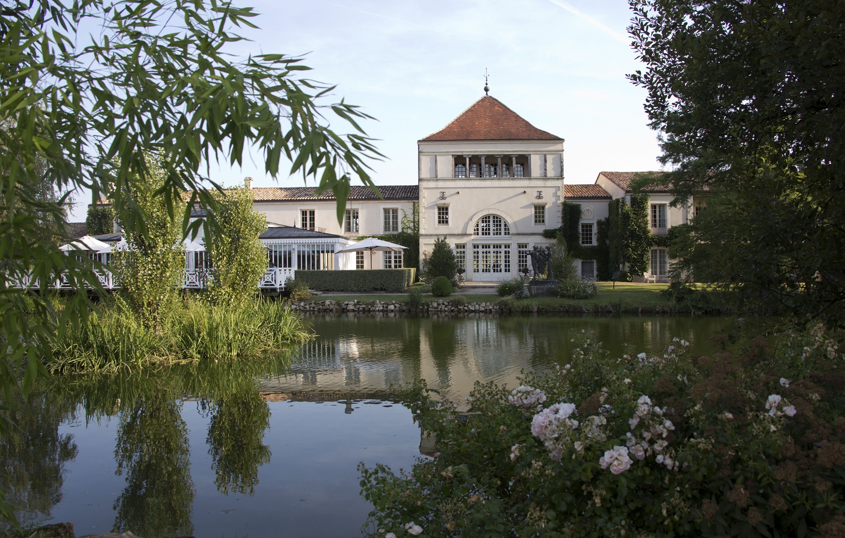 vineyard bordeaux