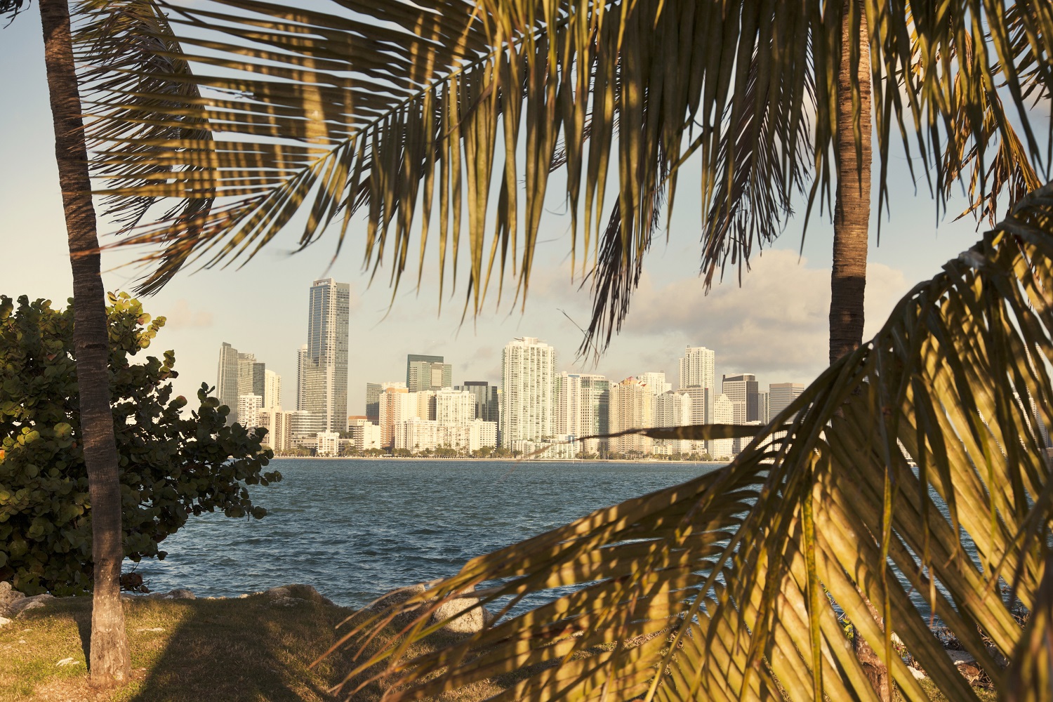 miami