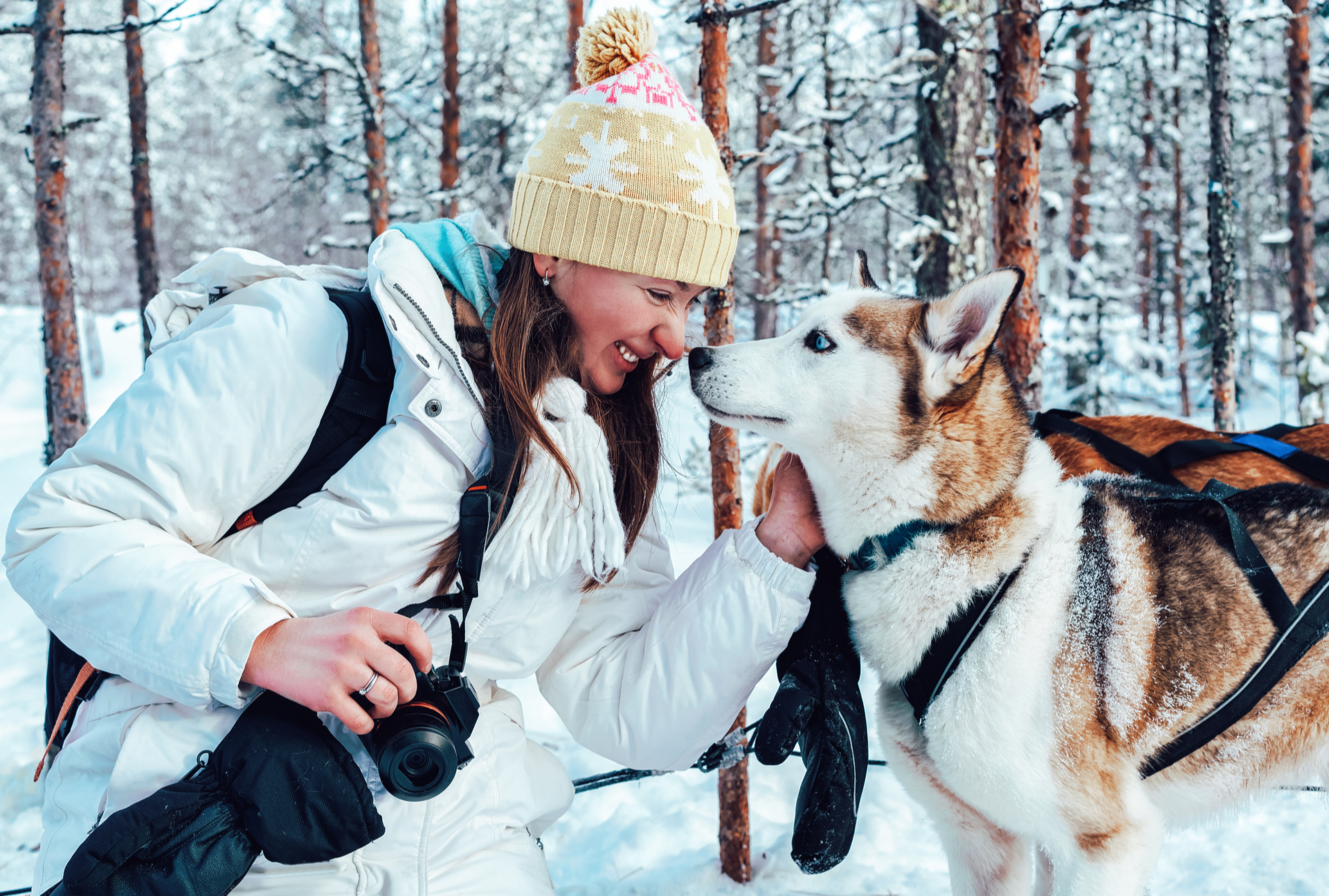 lapland