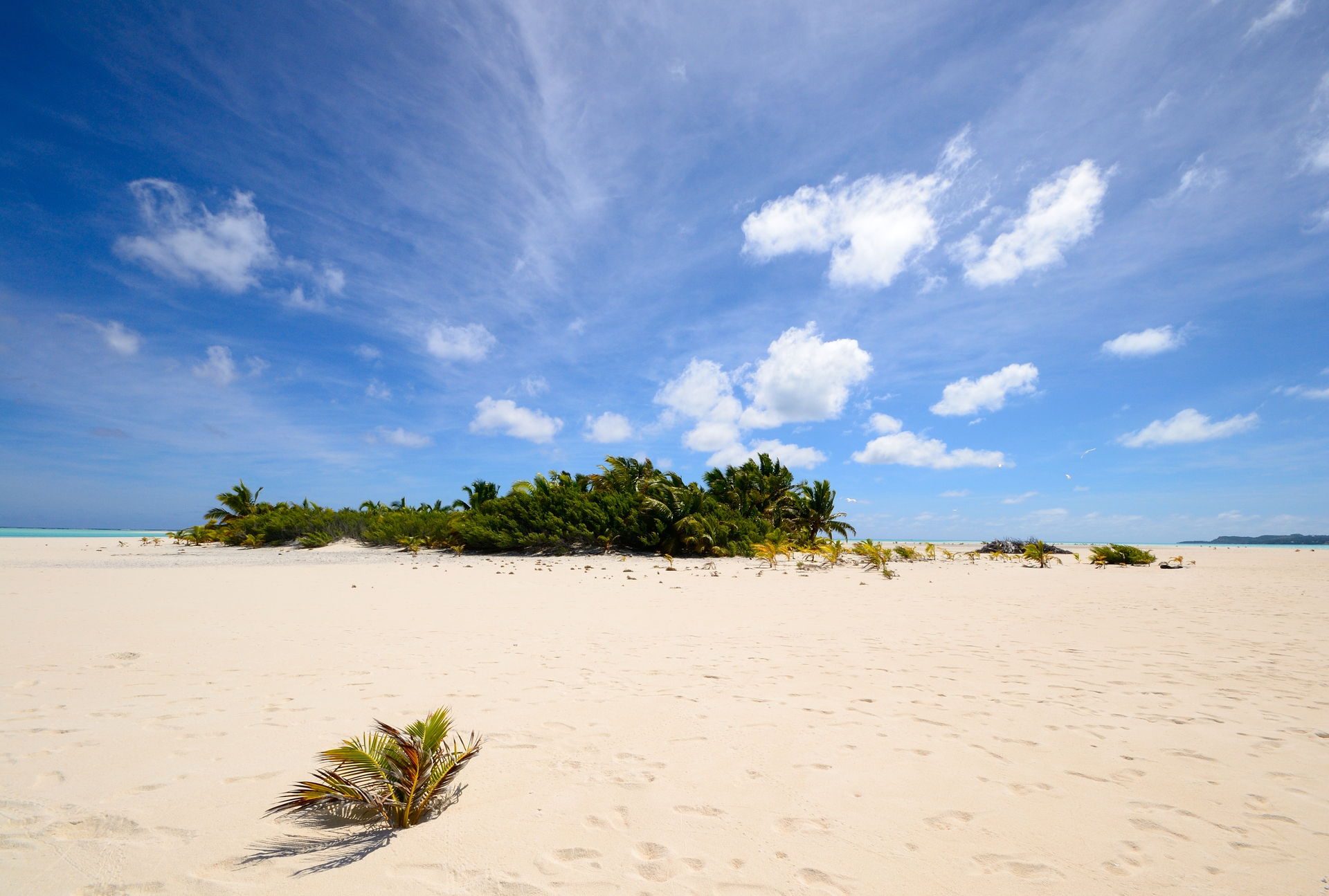 desert island