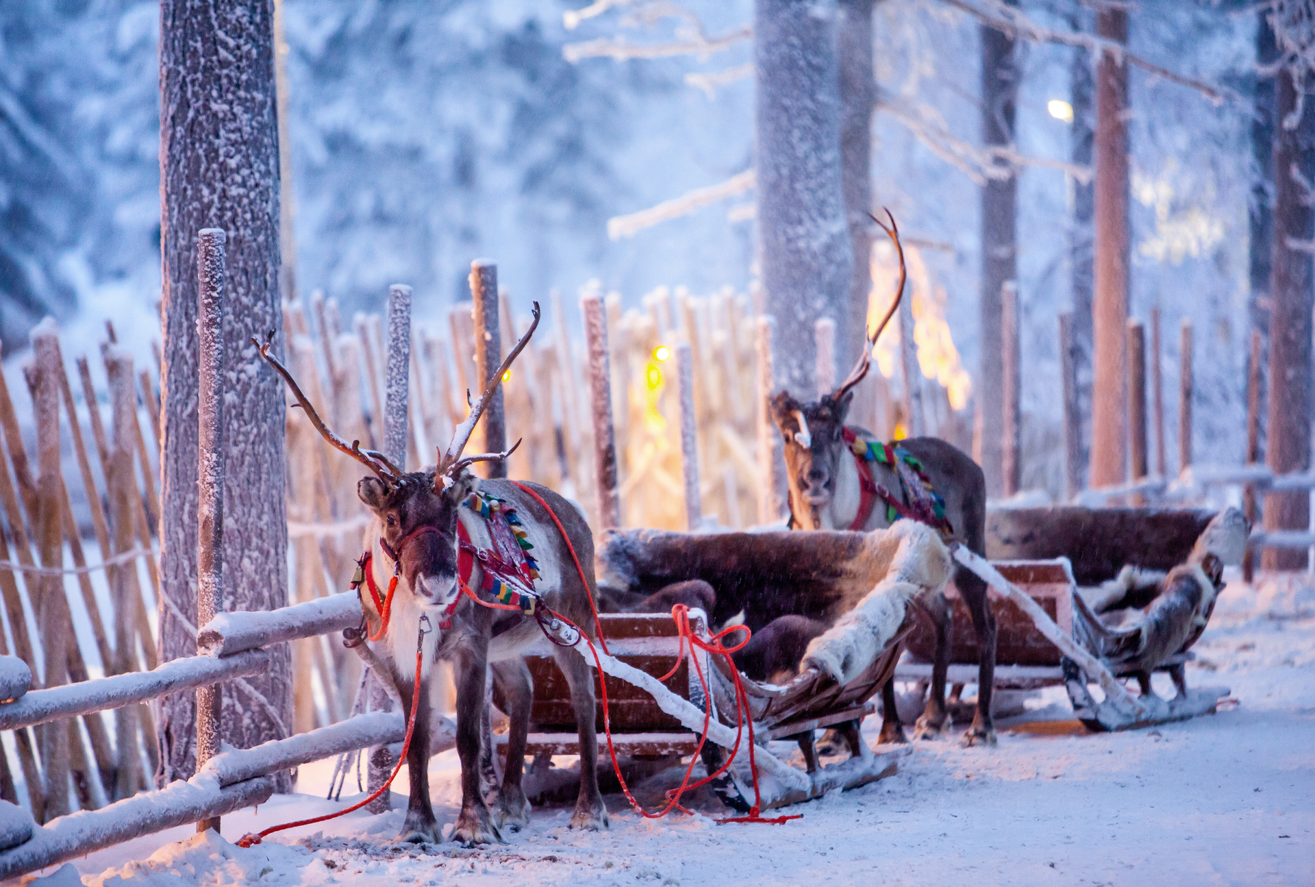 lapland