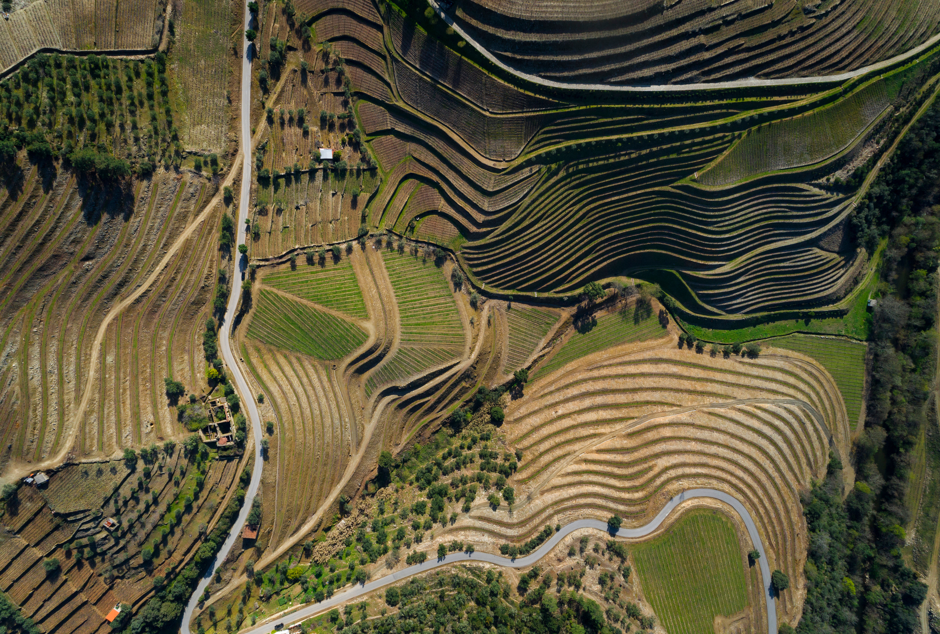 douro valley