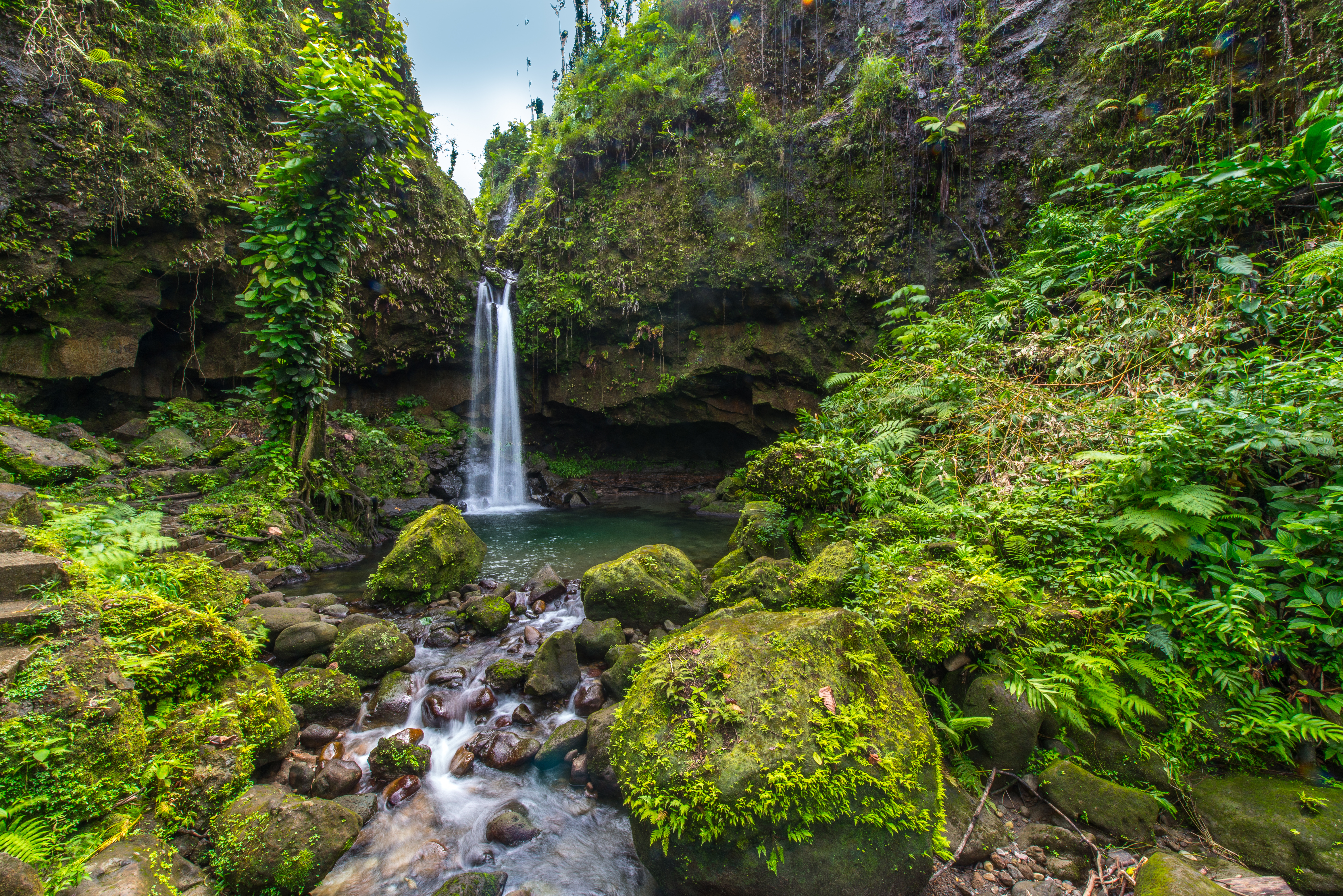 Dominica