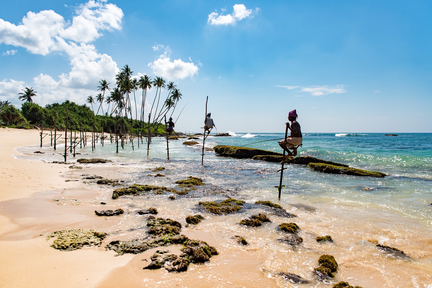 sri lanka fishing 