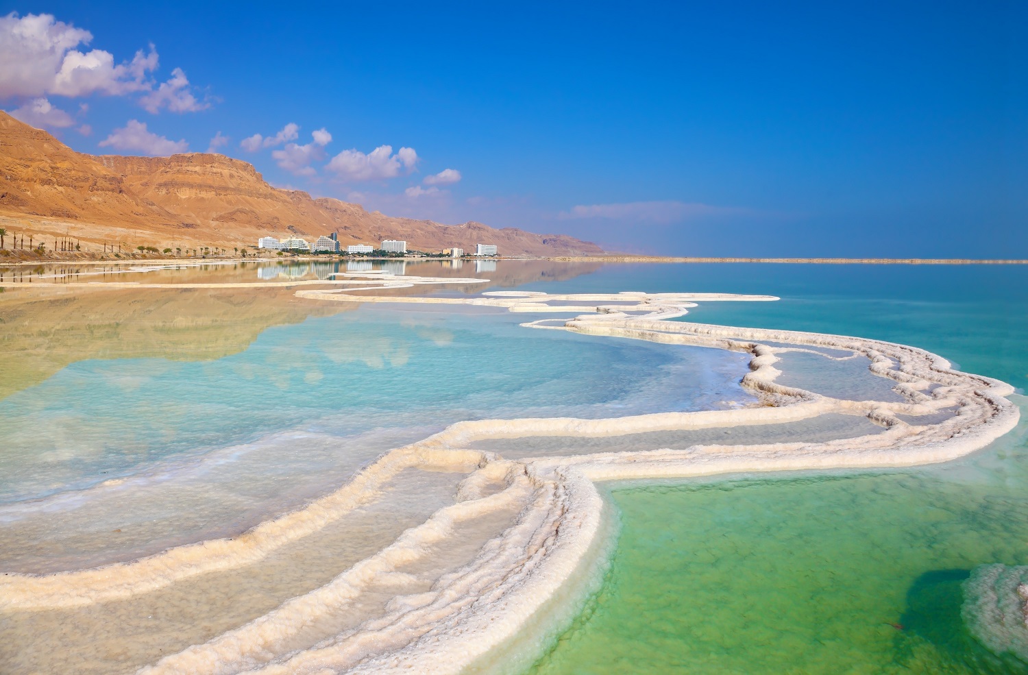 dead sea israel