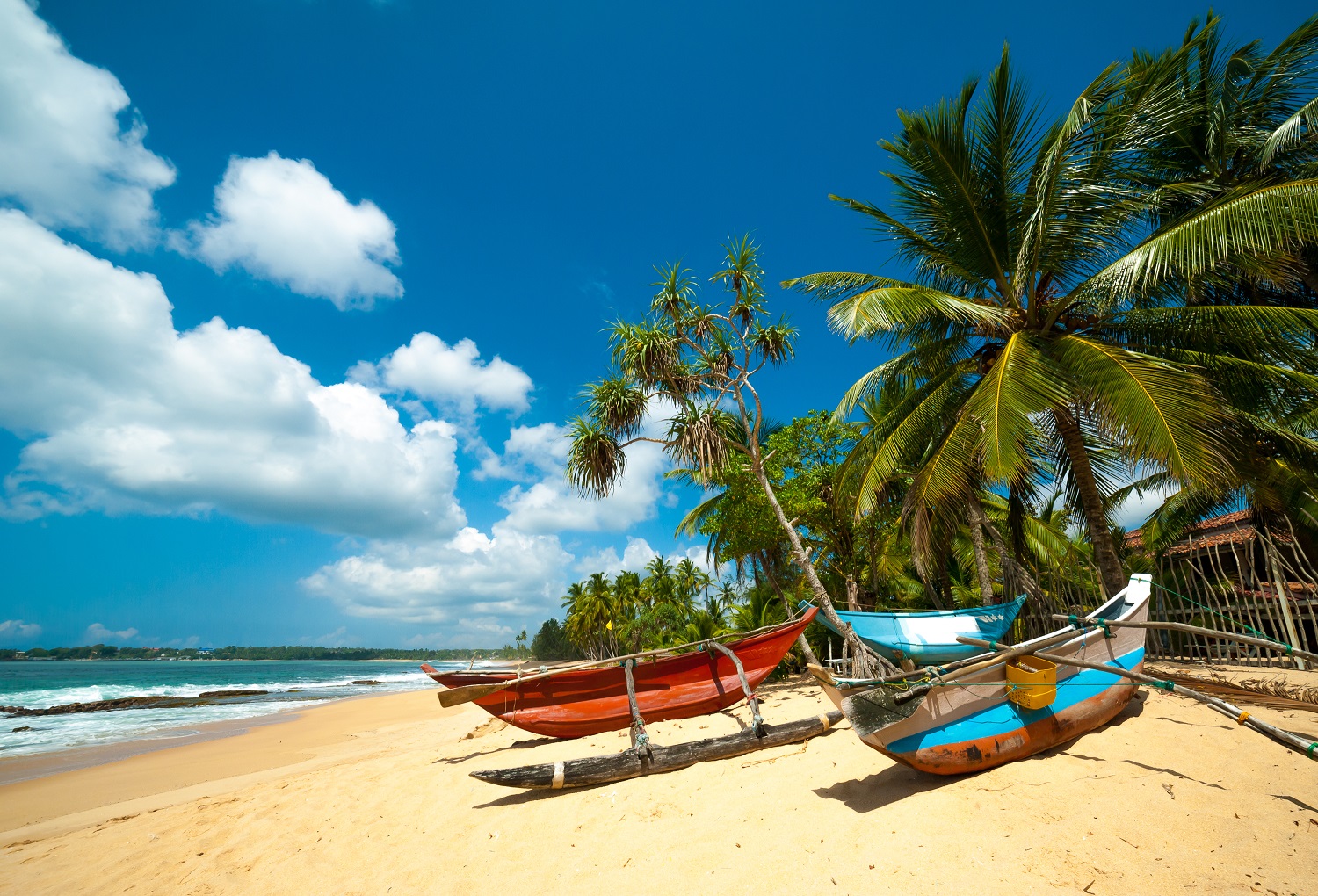 dalawella beach sri lanka