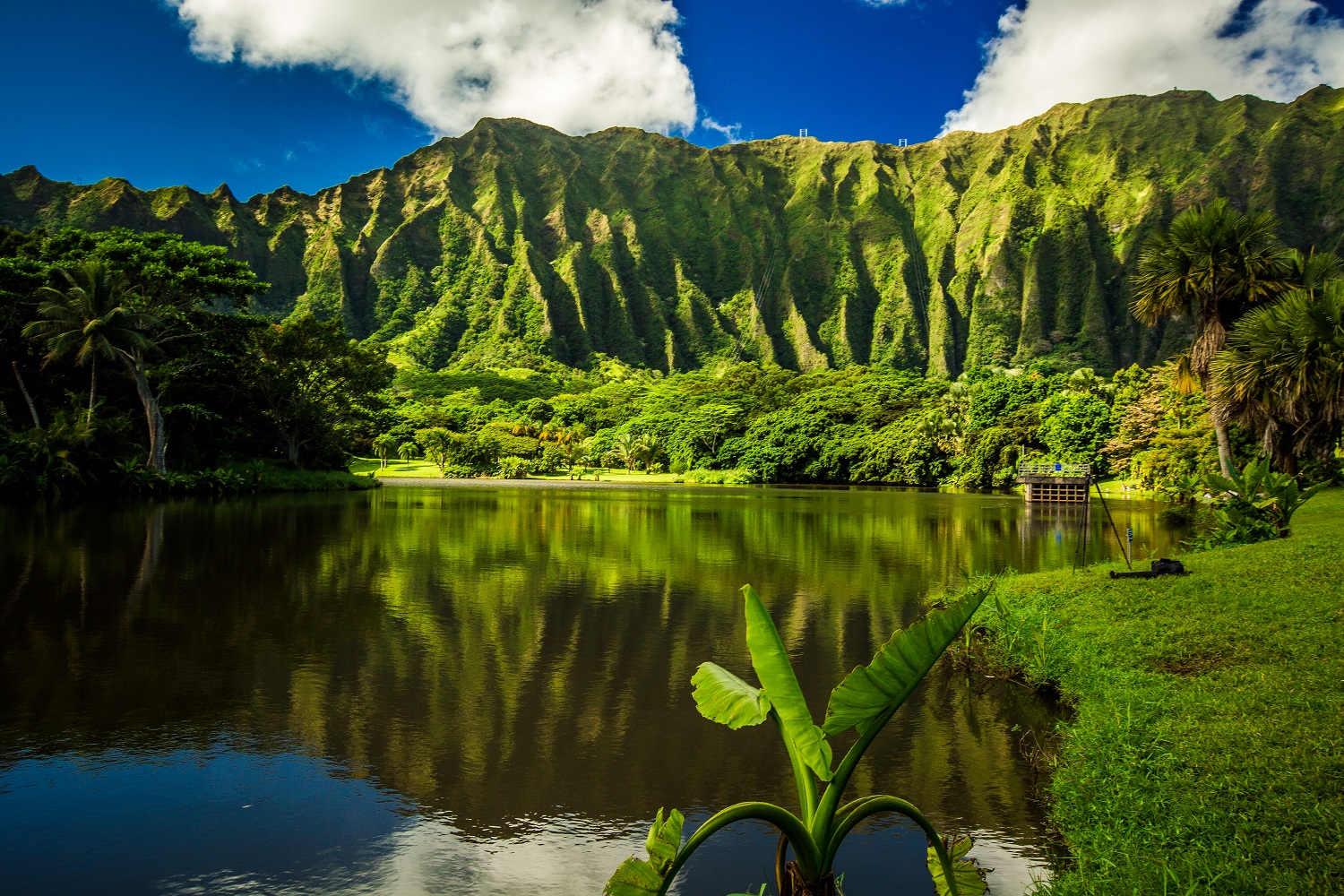 Private Tours & Vacations to Hawaii | Untold Story Travel
