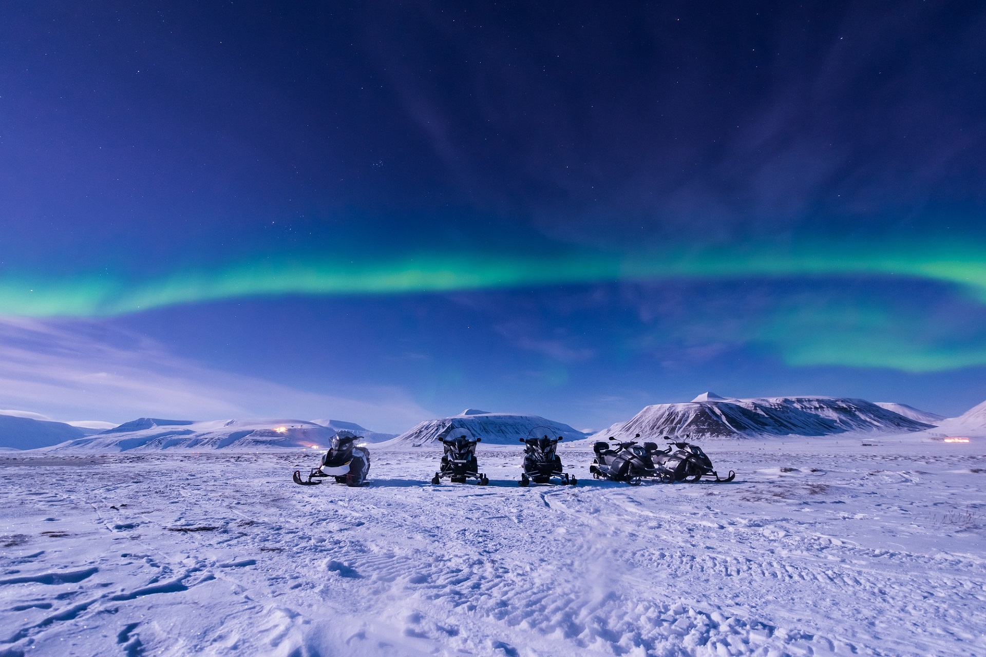 polar bear snowmobile