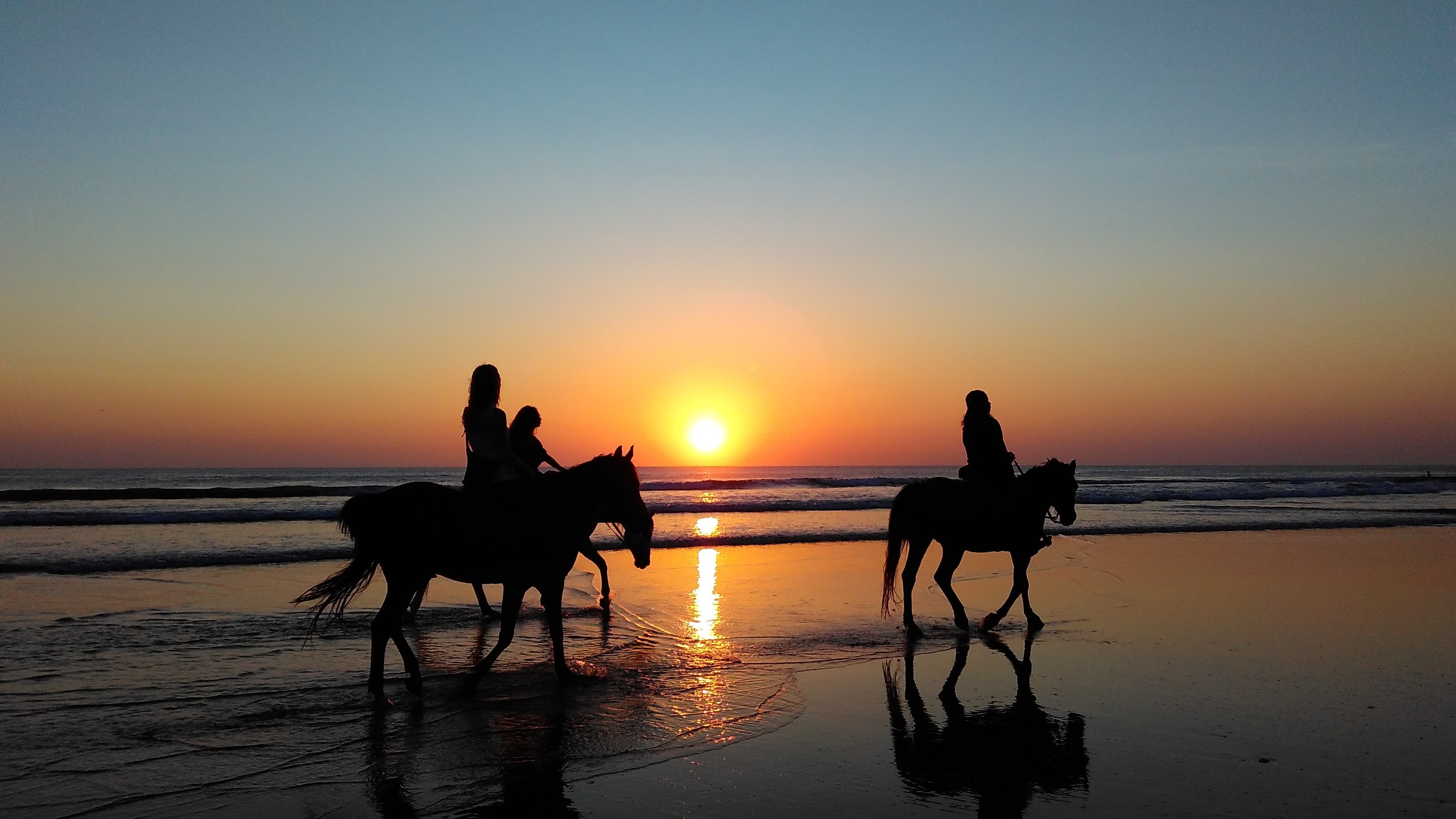 beach greece horse