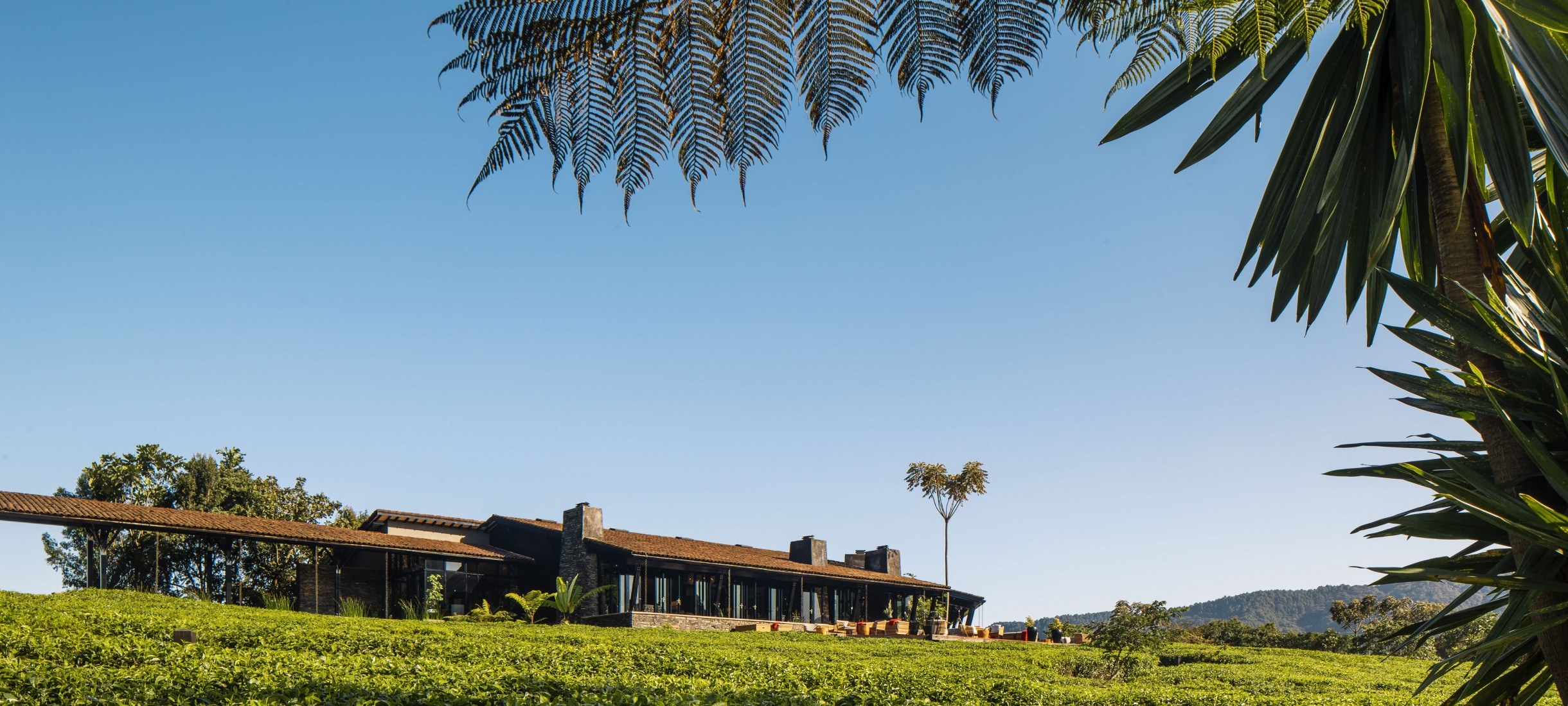 One & Only Nyungwe House | Untold Story Travel