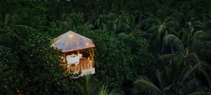 Resort Treehouse