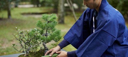 Aman Kyoto