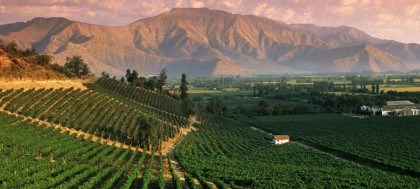 Cavas Wine Lodge