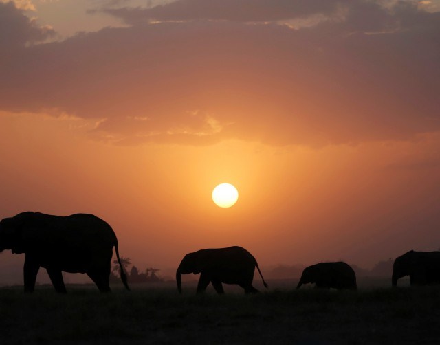 Kenya National Park