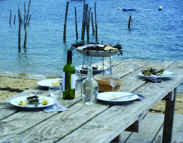Oysters at Arcachon Bay