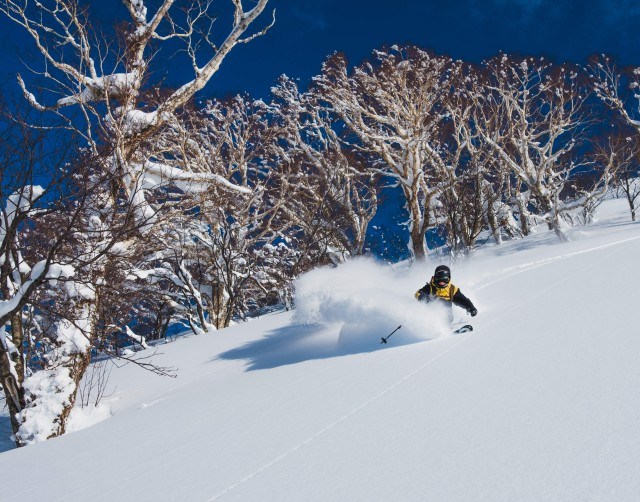 Niseko ski