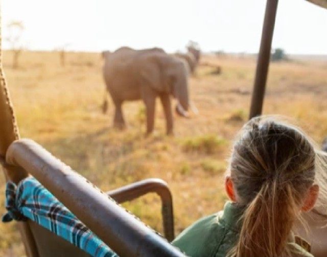 Luxury safari with kids