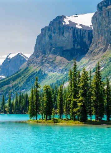 THE CANADIAN WILD WEST