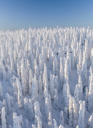 Visit Finland