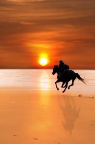 THE CHARMS OF THE EMERALD ISLE