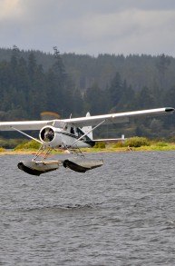 THE CANADIAN WILD WEST