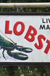 New England